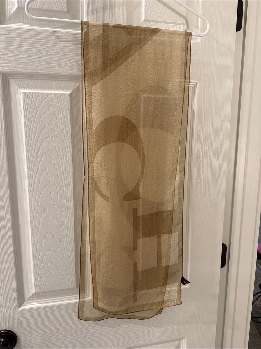 Coach Sheer Logo Scarf in Taupe and Brown